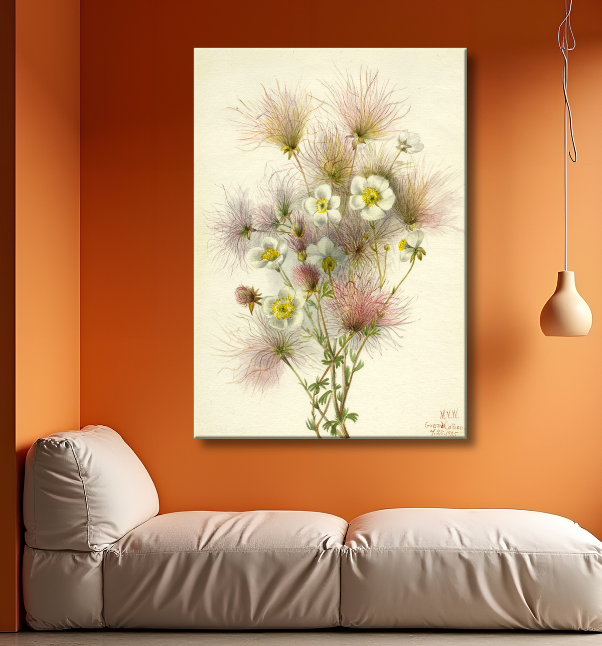 Reproduction Apache Plume (paradoxe de Fallugia) de Mary Vaux Walcott, born Philadelphia, PA 1860-died St. Andrews, New Brunswick, Canada 1940 avec decor