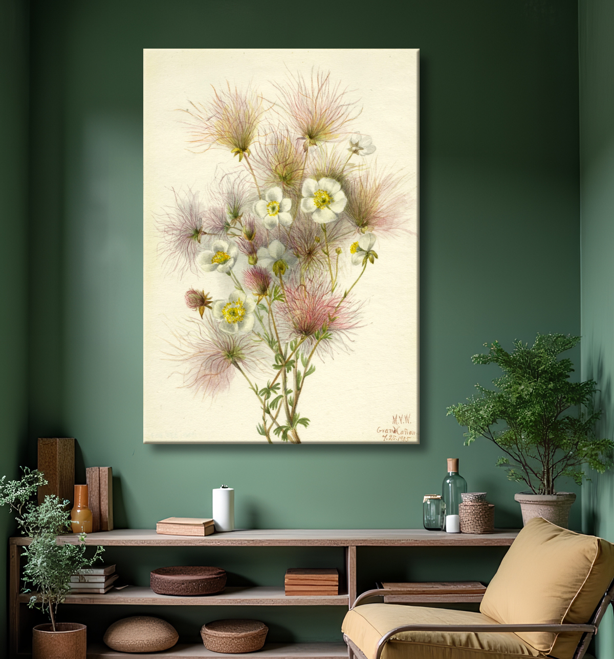 Reproduction Apache Plume (paradoxe de Fallugia) de Mary Vaux Walcott, born Philadelphia, PA 1860-died St. Andrews, New Brunswick, Canada 1940 avec decor