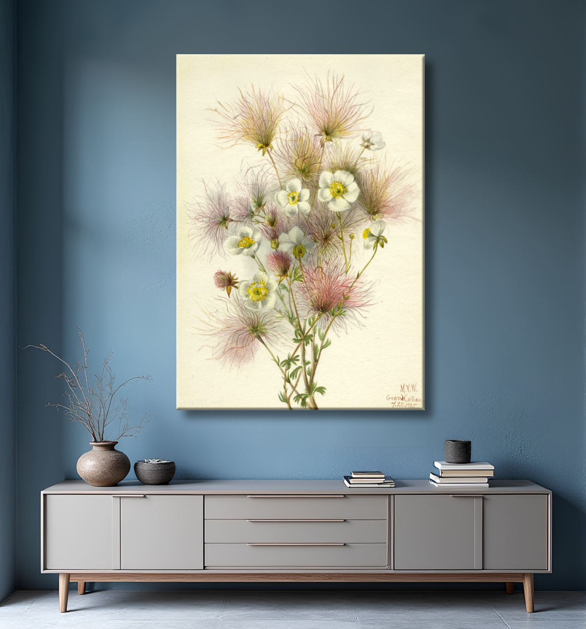 Reproduction Apache Plume (paradoxe de Fallugia) de Mary Vaux Walcott, born Philadelphia, PA 1860-died St. Andrews, New Brunswick, Canada 1940 avec decor