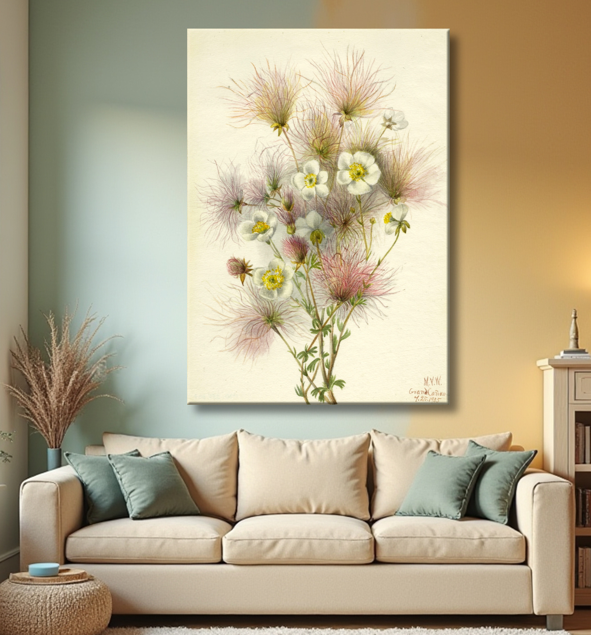 Reproduction Apache Plume (paradoxe de Fallugia) de Mary Vaux Walcott, born Philadelphia, PA 1860-died St. Andrews, New Brunswick, Canada 1940 avec decor