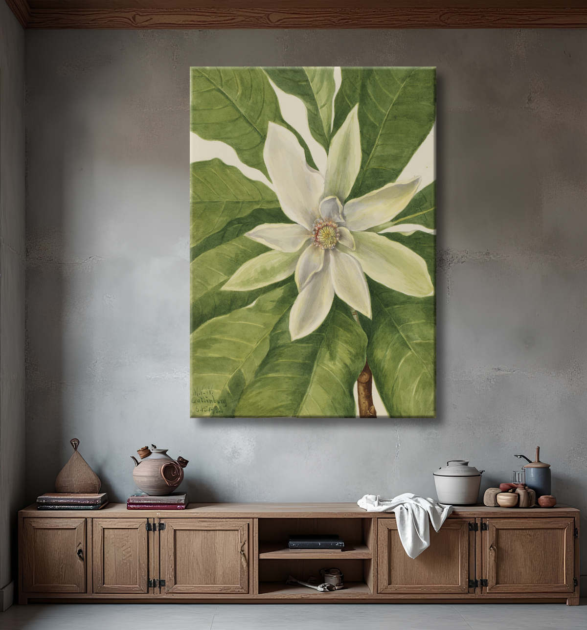 Reproduction Arbre parapluie (Magnolia tripetala) de Mary Vaux Walcott, born Philadelphia, PA 1860-died St. Andrews, New Brunswick, Canada 1940 avec decor