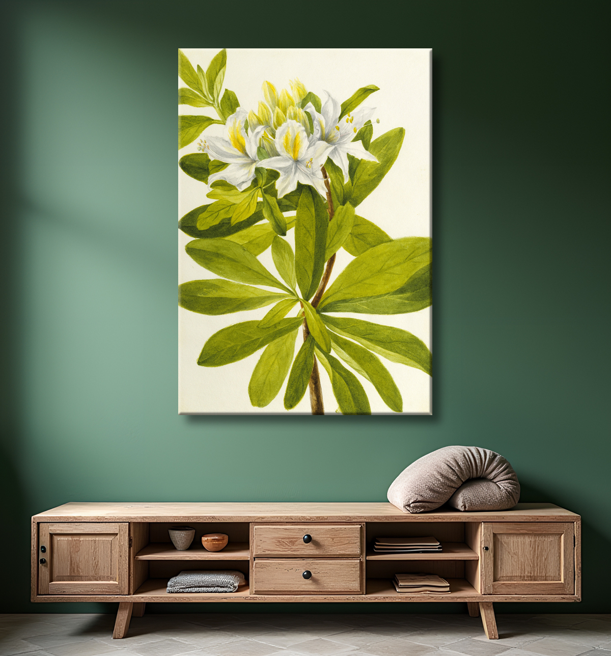 Reproduction Azalée occidentale (rhododendron occidental) de Mary Vaux Walcott, born Philadelphia, PA 1860-died St. Andrews, New Brunswick, Canada 1940 avec decor