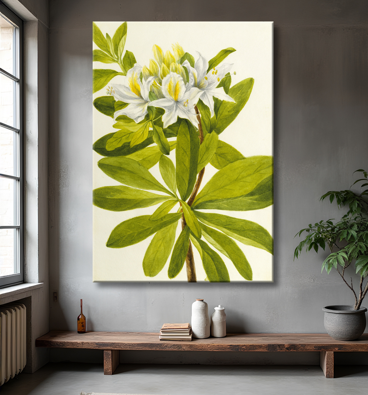 Reproduction Azalée occidentale (rhododendron occidental) de Mary Vaux Walcott, born Philadelphia, PA 1860-died St. Andrews, New Brunswick, Canada 1940 avec decor