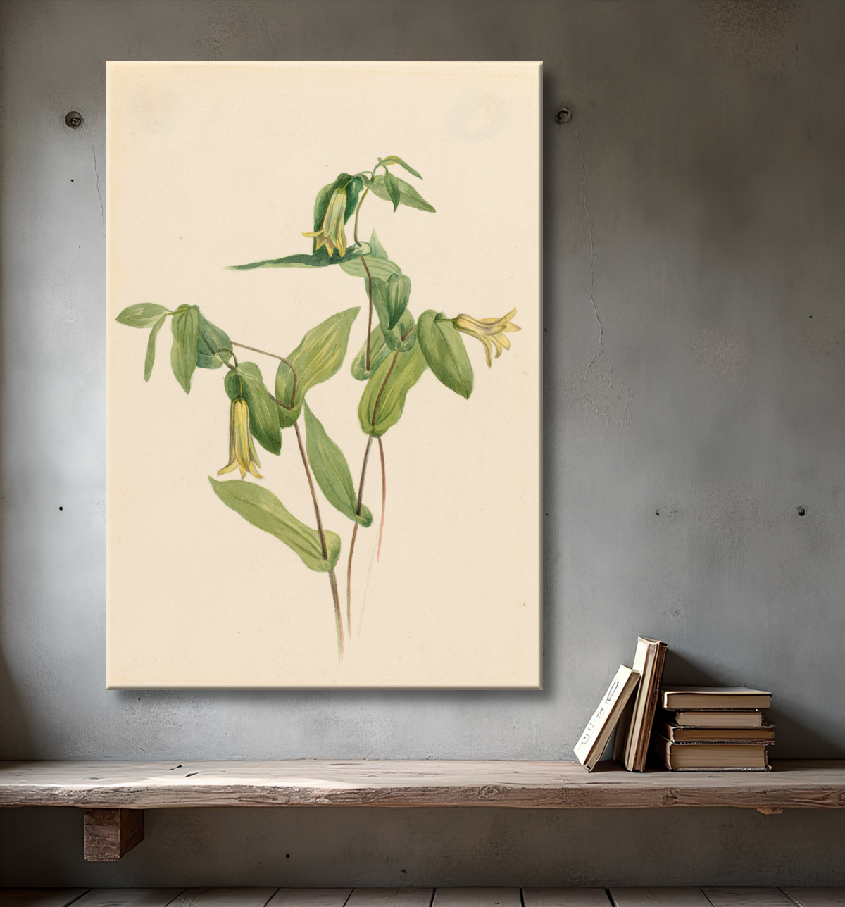 Reproduction Bois Merrybells (Uvularia perfoliata) de Mary Vaux Walcott, born Philadelphia, PA 1860-died St. Andrews, New Brunswick, Canada 1940 avec decor