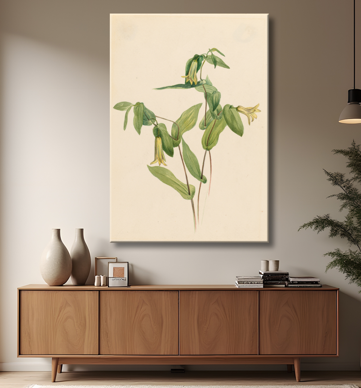 Reproduction Bois Merrybells (Uvularia perfoliata) de Mary Vaux Walcott, born Philadelphia, PA 1860-died St. Andrews, New Brunswick, Canada 1940 avec decor