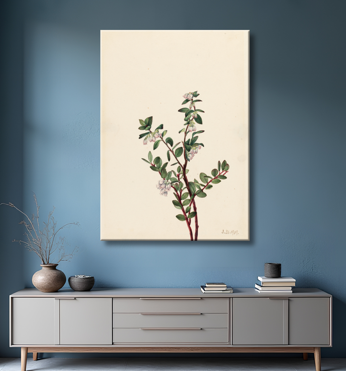 Reproduction Boîte Huckleberry (Gaylussacia brachycera) de Mary Vaux Walcott, born Philadelphia, PA 1860-died St. Andrews, New Brunswick, Canada 1940 avec decor