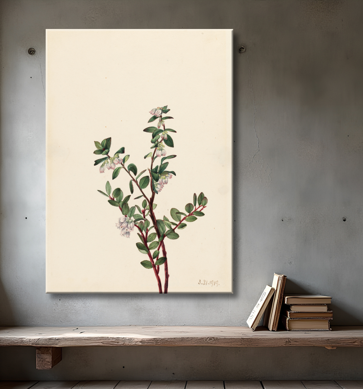 Reproduction Boîte Huckleberry (Gaylussacia brachycera) de Mary Vaux Walcott, born Philadelphia, PA 1860-died St. Andrews, New Brunswick, Canada 1940 avec decor