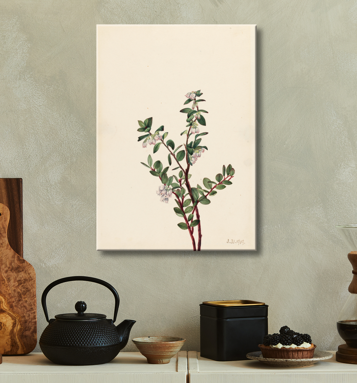 Reproduction Boîte Huckleberry (Gaylussacia brachycera) de Mary Vaux Walcott, born Philadelphia, PA 1860-died St. Andrews, New Brunswick, Canada 1940 avec decor