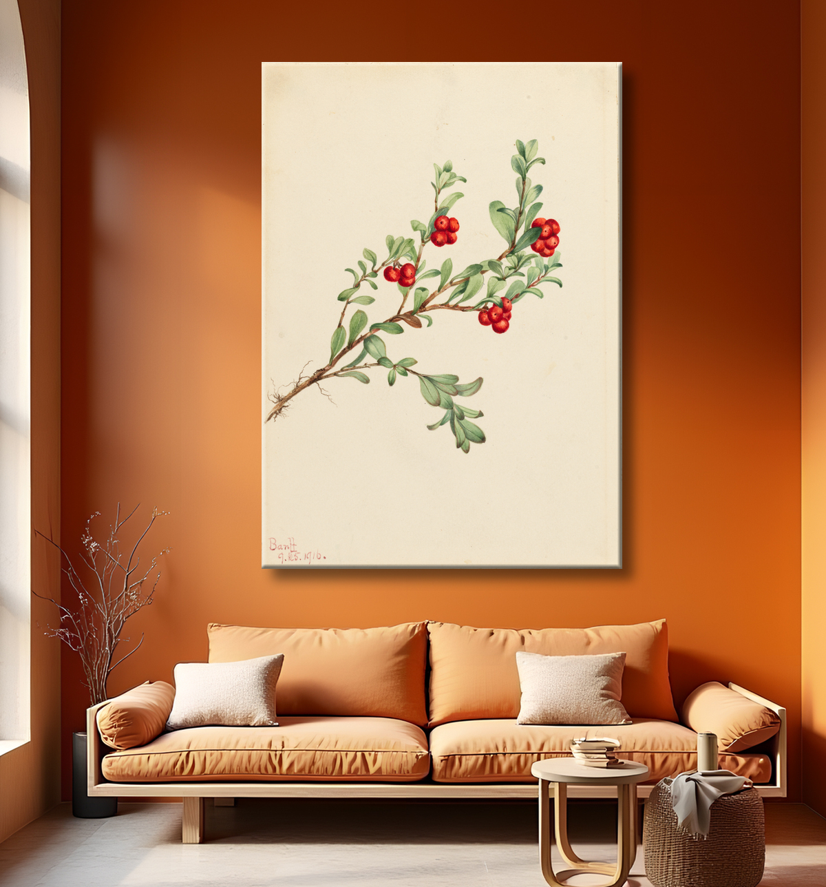Reproduction Busserole (Arctostaphylos uva-ursi) de Mary Vaux Walcott, born Philadelphia, PA 1860-died St. Andrews, New Brunswick, Canada 1940 avec decor