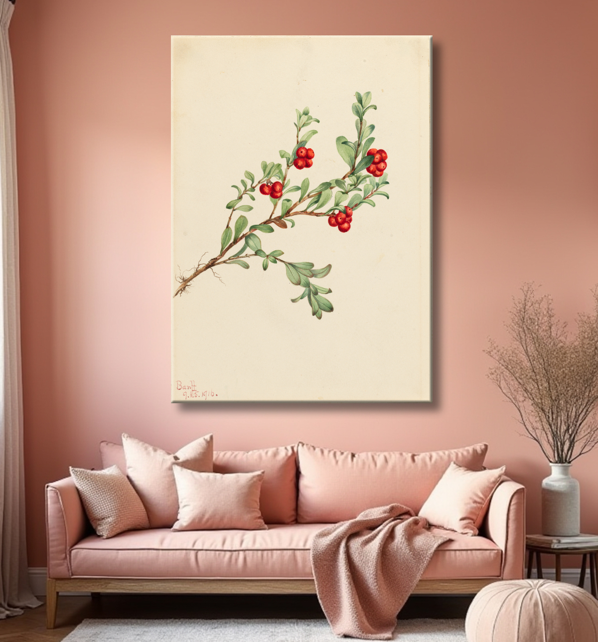 Reproduction Busserole (Arctostaphylos uva-ursi) de Mary Vaux Walcott, born Philadelphia, PA 1860-died St. Andrews, New Brunswick, Canada 1940 avec decor