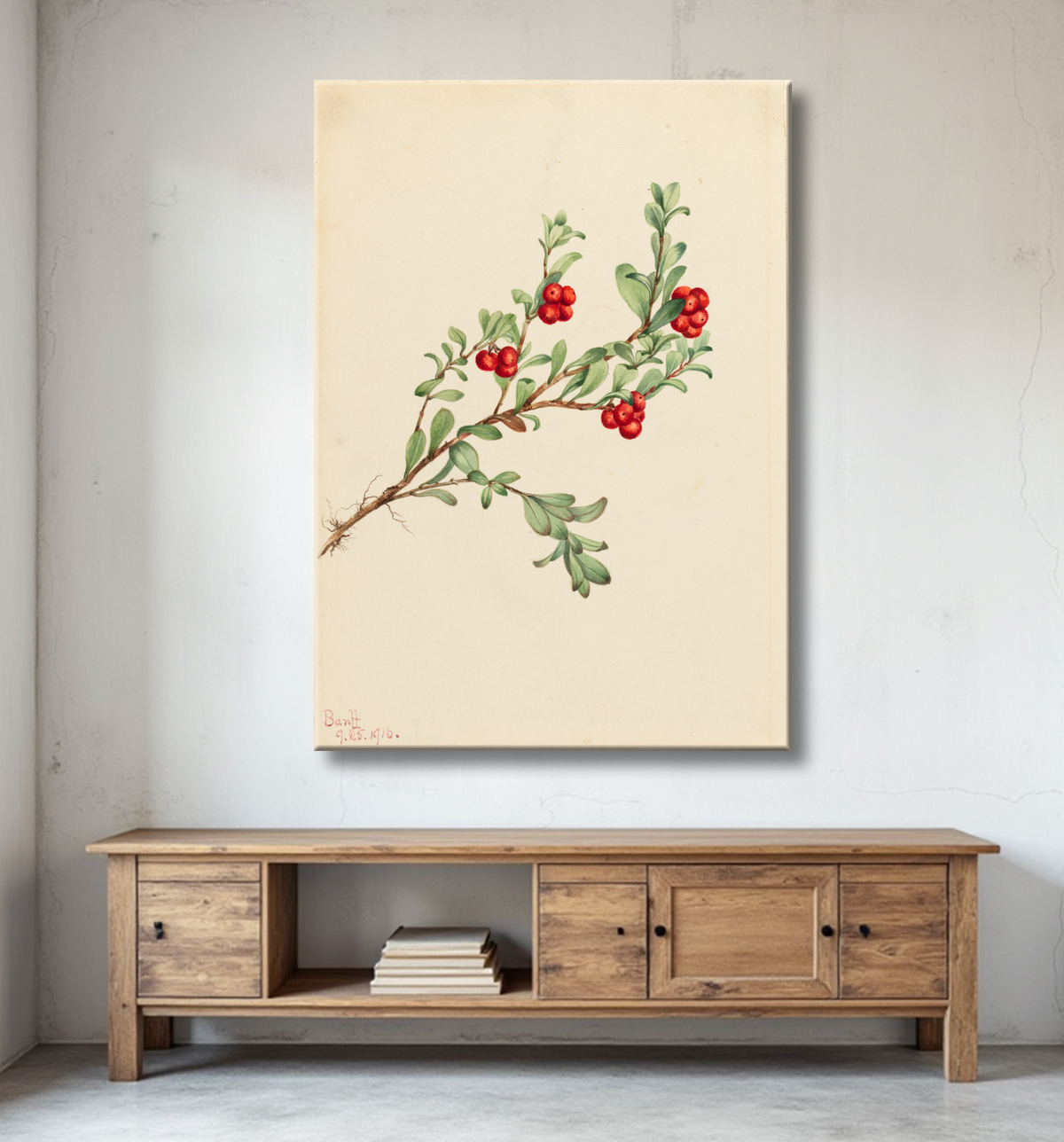 Reproduction Busserole (Arctostaphylos uva-ursi) de Mary Vaux Walcott, born Philadelphia, PA 1860-died St. Andrews, New Brunswick, Canada 1940 avec decor