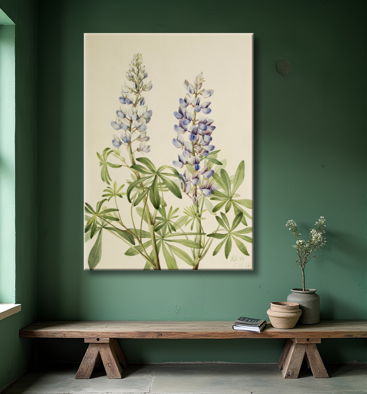 Reproduction Cadran solaire Lupin (Lupinus perennis) de Mary Vaux Walcott, born Philadelphia, PA 1860-died St. Andrews, New Brunswick, Canada 1940 avec decor