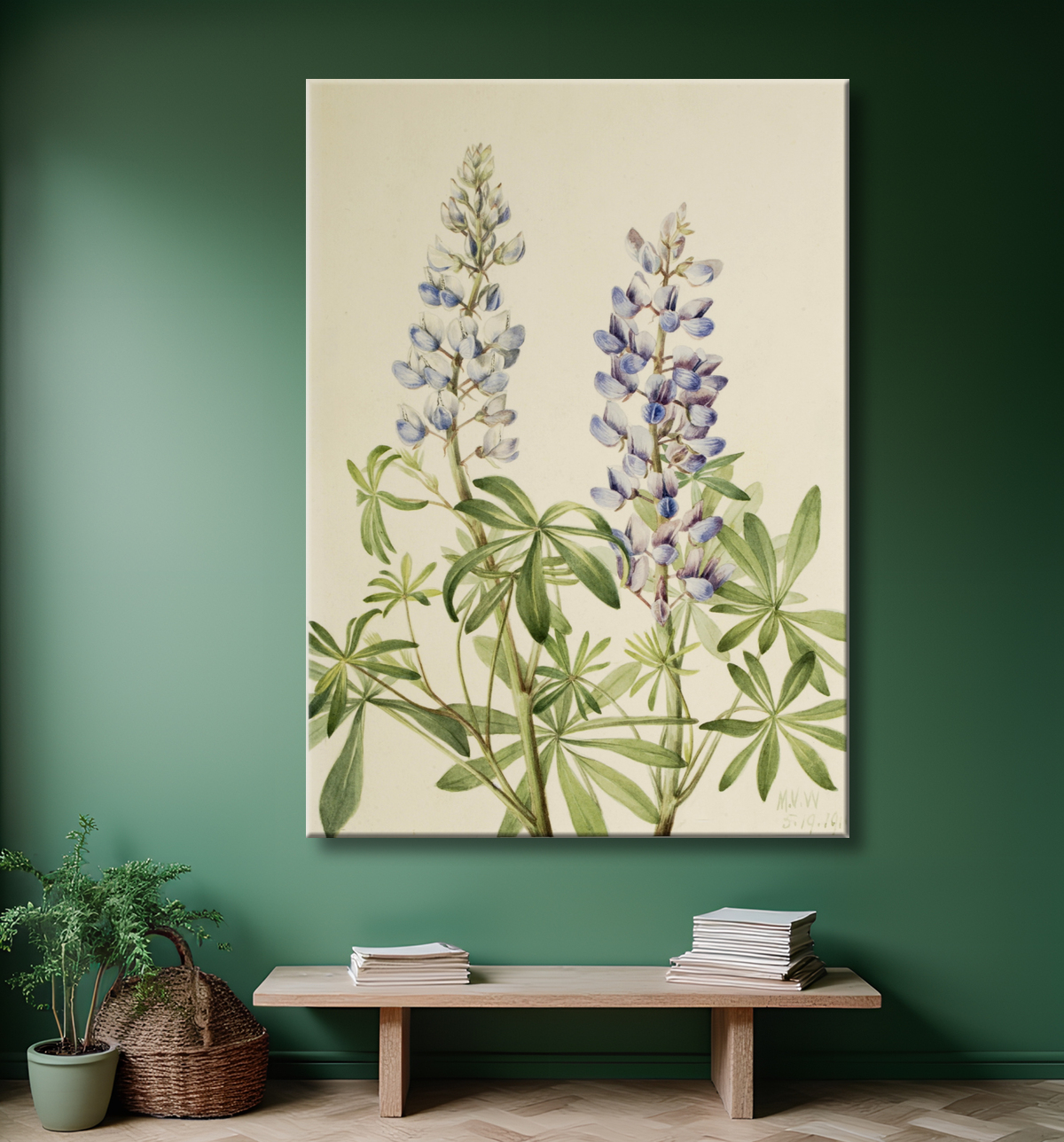 Reproduction Cadran solaire Lupin (Lupinus perennis) de Mary Vaux Walcott, born Philadelphia, PA 1860-died St. Andrews, New Brunswick, Canada 1940 avec decor