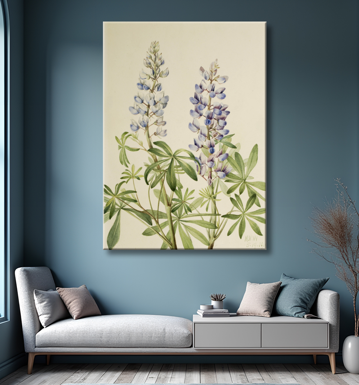 Reproduction Cadran solaire Lupin (Lupinus perennis) de Mary Vaux Walcott, born Philadelphia, PA 1860-died St. Andrews, New Brunswick, Canada 1940 avec decor