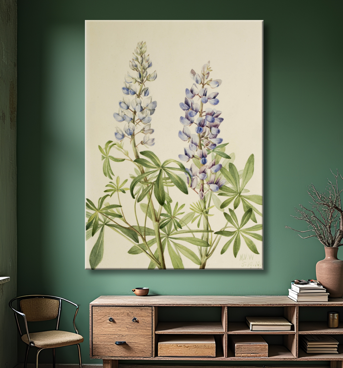 Reproduction Cadran solaire Lupin (Lupinus perennis) de Mary Vaux Walcott, born Philadelphia, PA 1860-died St. Andrews, New Brunswick, Canada 1940 avec decor
