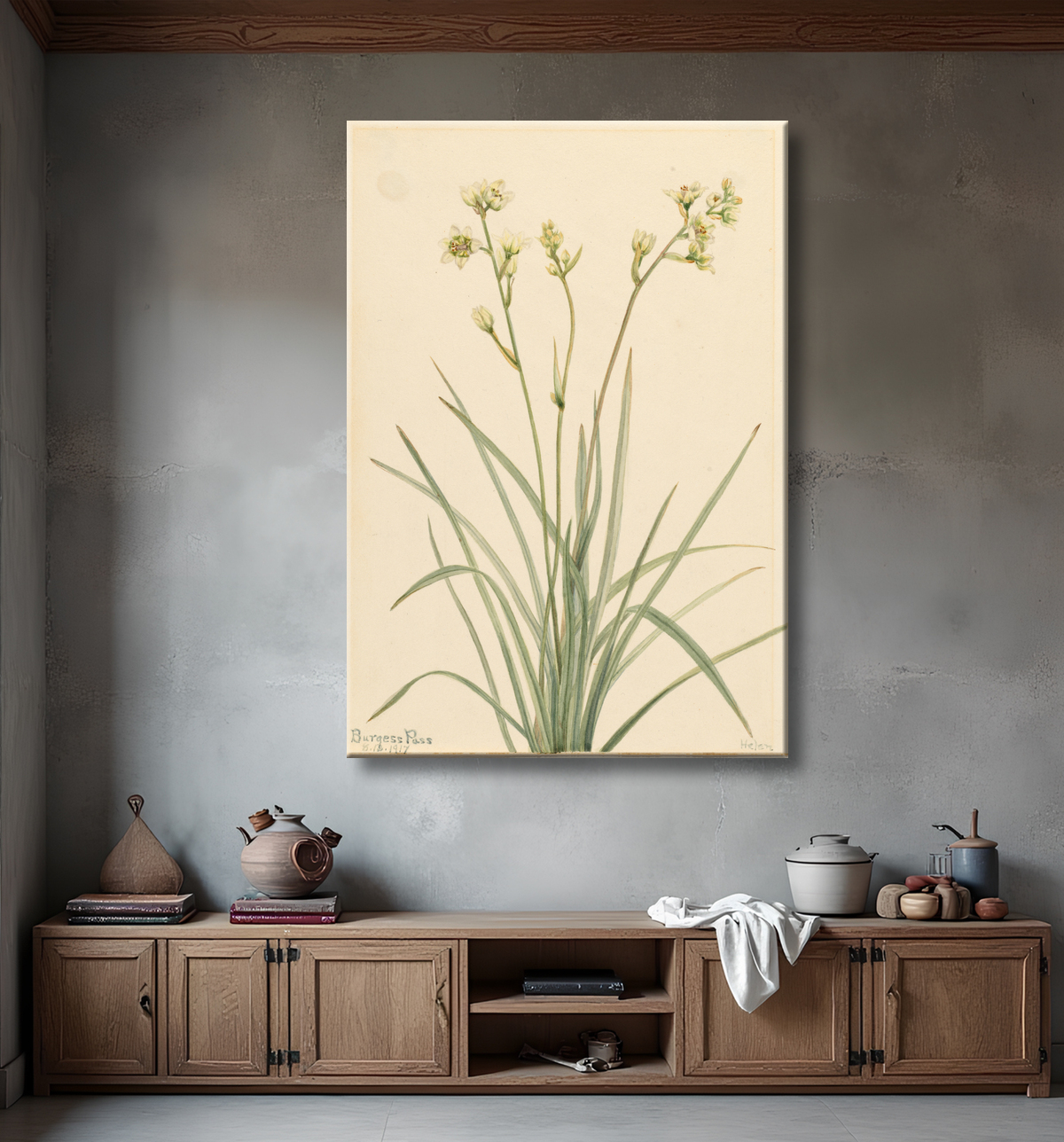 Reproduction Camas de la mort (Zygadenus elegans) de Mary Vaux Walcott, born Philadelphia, PA 1860-died St. Andrews, New Brunswick, Canada 1940 avec decor