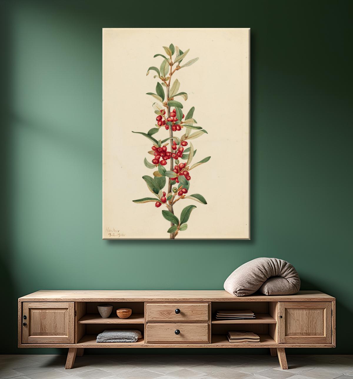 Reproduction Canada Buffaloberry (Lepargyrea canadensis) de Mary Vaux Walcott, born Philadelphia, PA 1860-died St. Andrews, New Brunswick, Canada 1940 avec decor