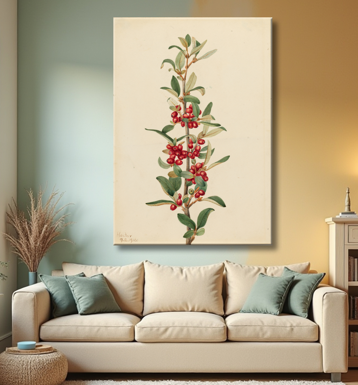 Reproduction Canada Buffaloberry (Lepargyrea canadensis) de Mary Vaux Walcott, born Philadelphia, PA 1860-died St. Andrews, New Brunswick, Canada 1940 avec decor
