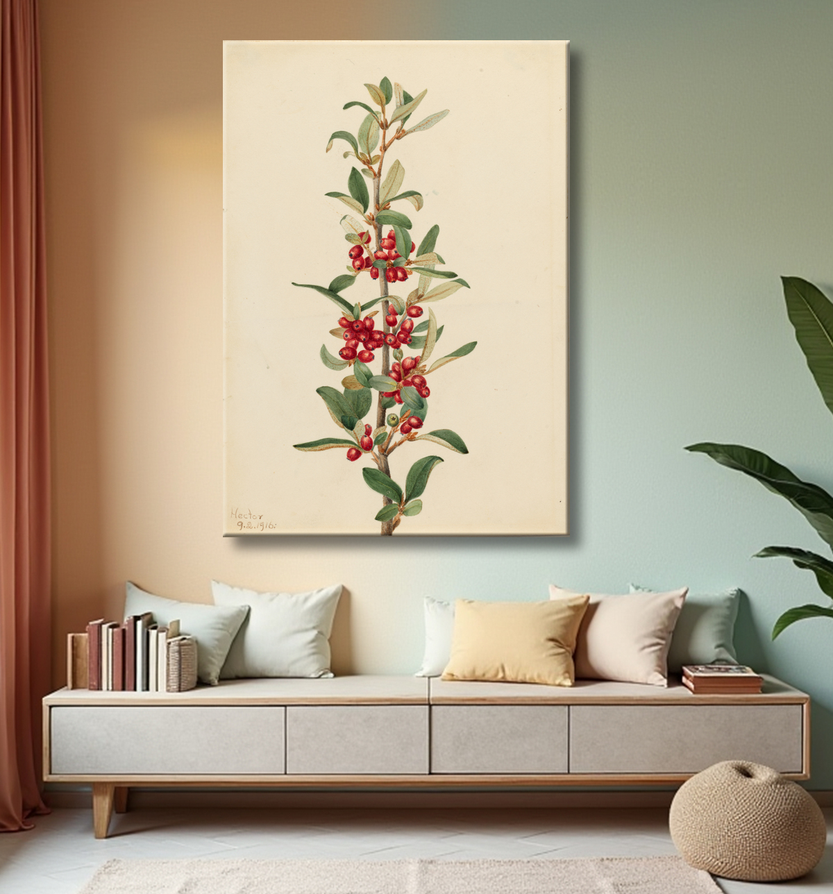 Reproduction Canada Buffaloberry (Lepargyrea canadensis) de Mary Vaux Walcott, born Philadelphia, PA 1860-died St. Andrews, New Brunswick, Canada 1940 avec decor