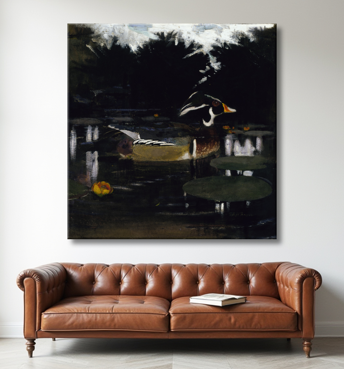 Reproduction Canard branchu mâle dans une piscine forestière, étude pour le livre Dissimuler la coloration dans le règne animal de Abbott Handerson Thayer, born Boston, MA 1849-died Dublin, NH 1921 avec decor