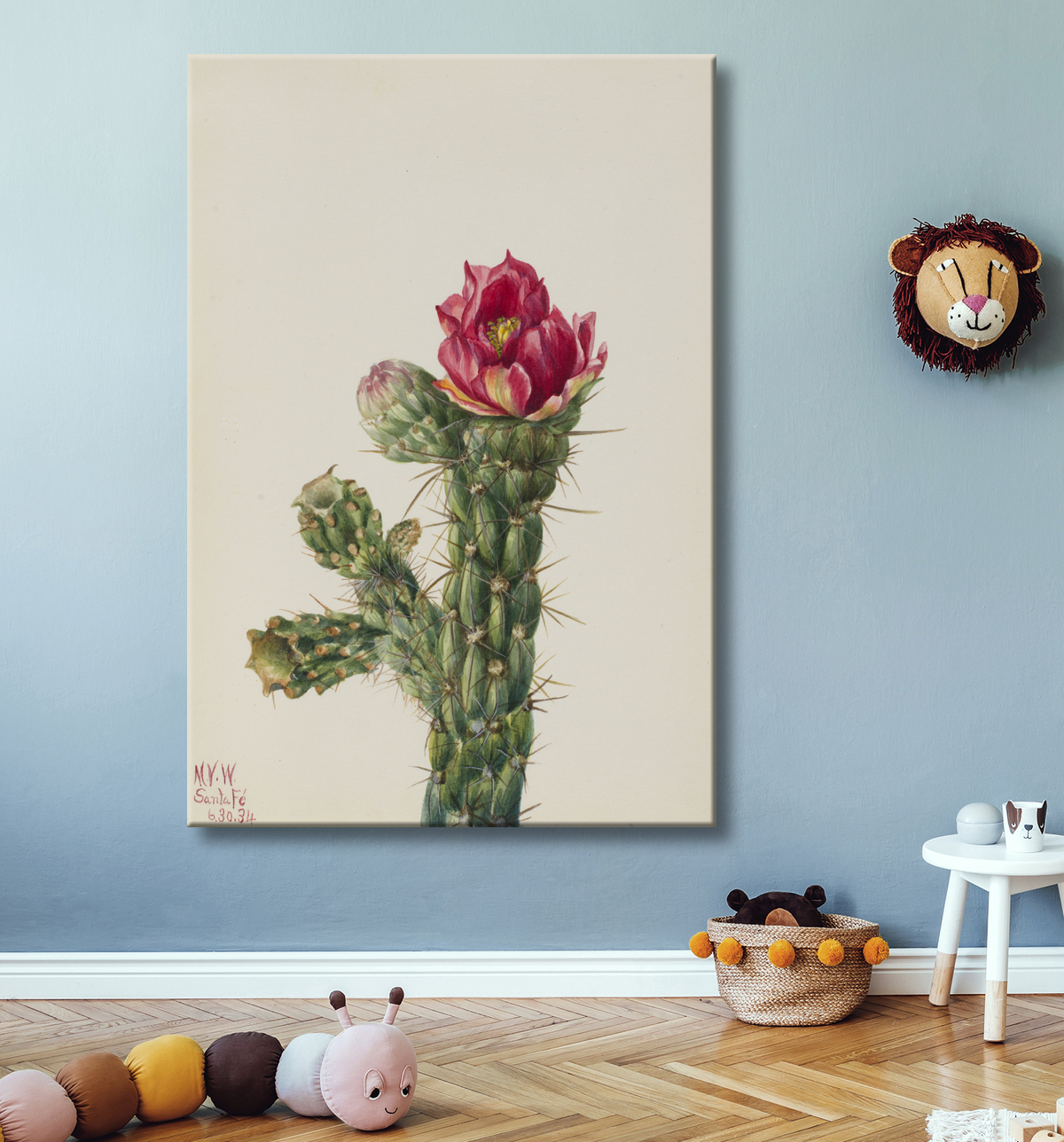 Reproduction Canne Cholla (Opuntia imbricata) de Mary Vaux Walcott, born Philadelphia, PA 1860-died St. Andrews, New Brunswick, Canada 1940 avec decor