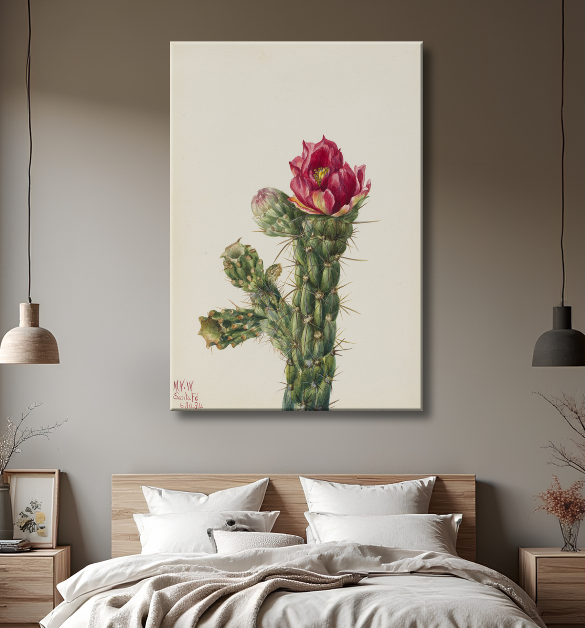 Reproduction Canne Cholla (Opuntia imbricata) de Mary Vaux Walcott, born Philadelphia, PA 1860-died St. Andrews, New Brunswick, Canada 1940 avec decor