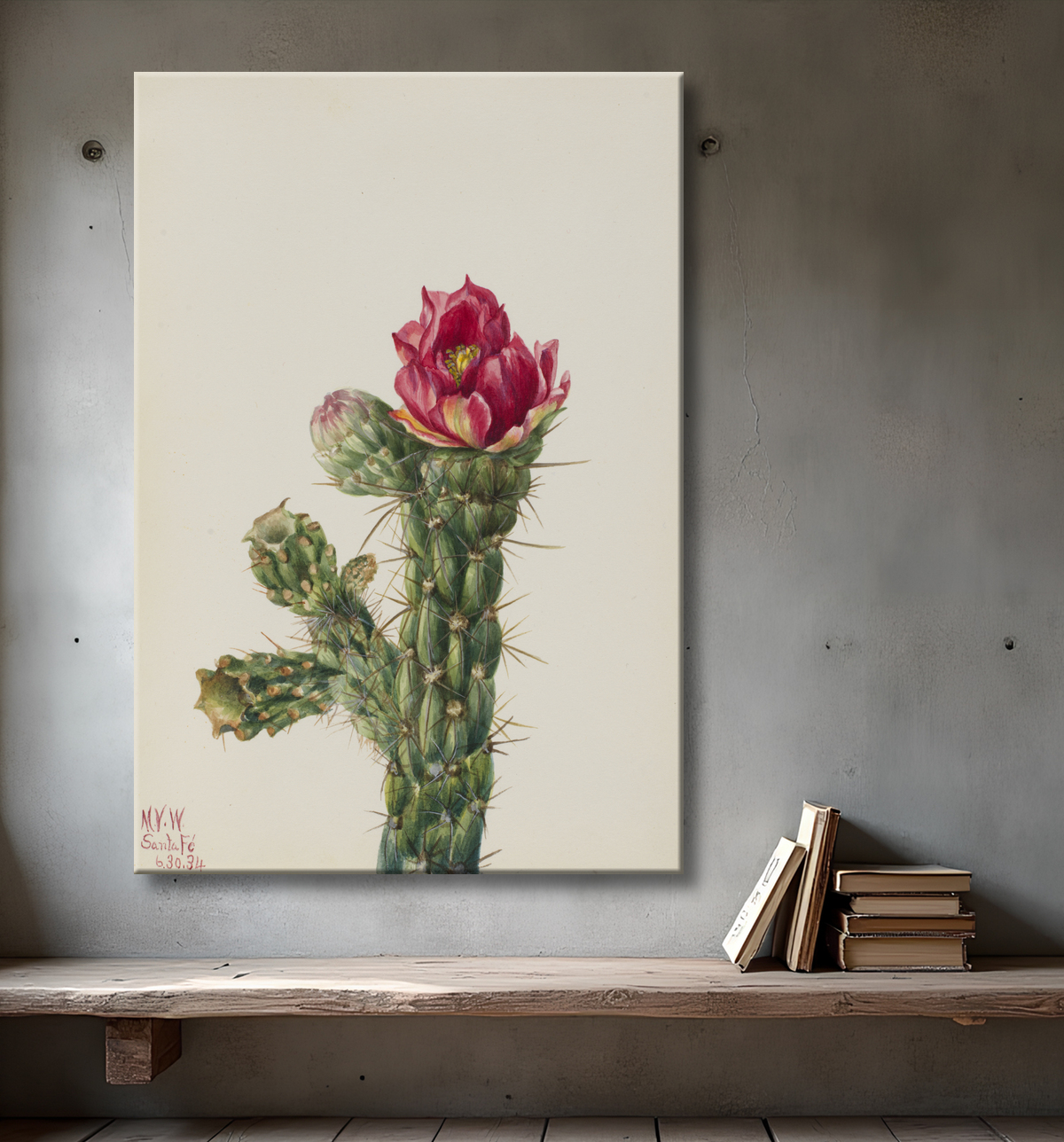 Reproduction Canne Cholla (Opuntia imbricata) de Mary Vaux Walcott, born Philadelphia, PA 1860-died St. Andrews, New Brunswick, Canada 1940 avec decor