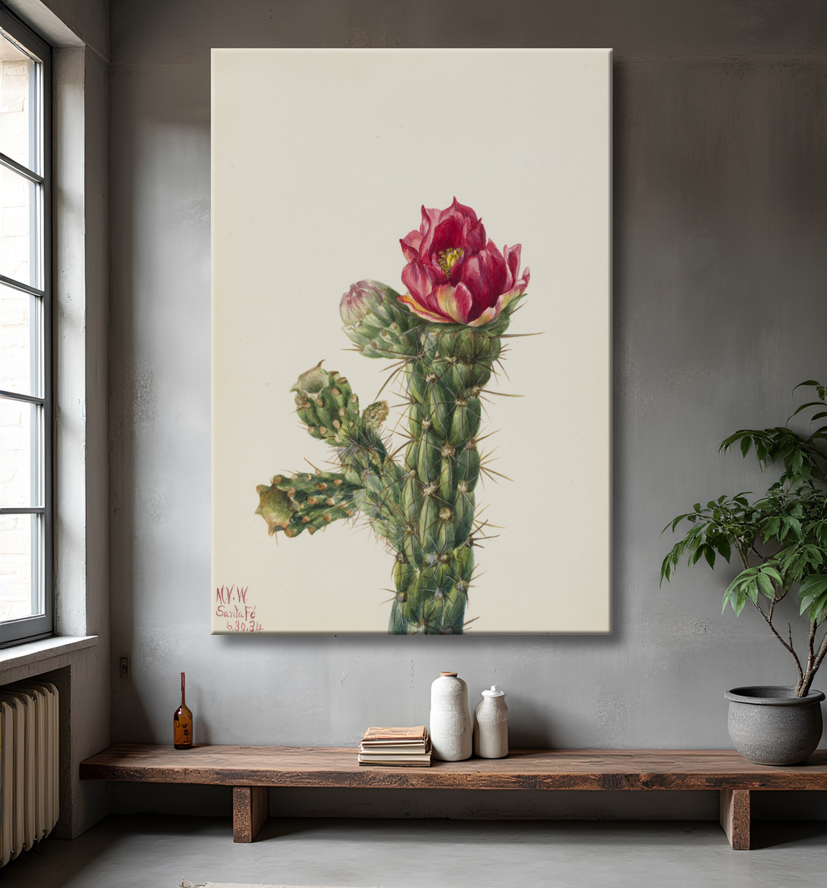 Reproduction Canne Cholla (Opuntia imbricata) de Mary Vaux Walcott, born Philadelphia, PA 1860-died St. Andrews, New Brunswick, Canada 1940 avec decor