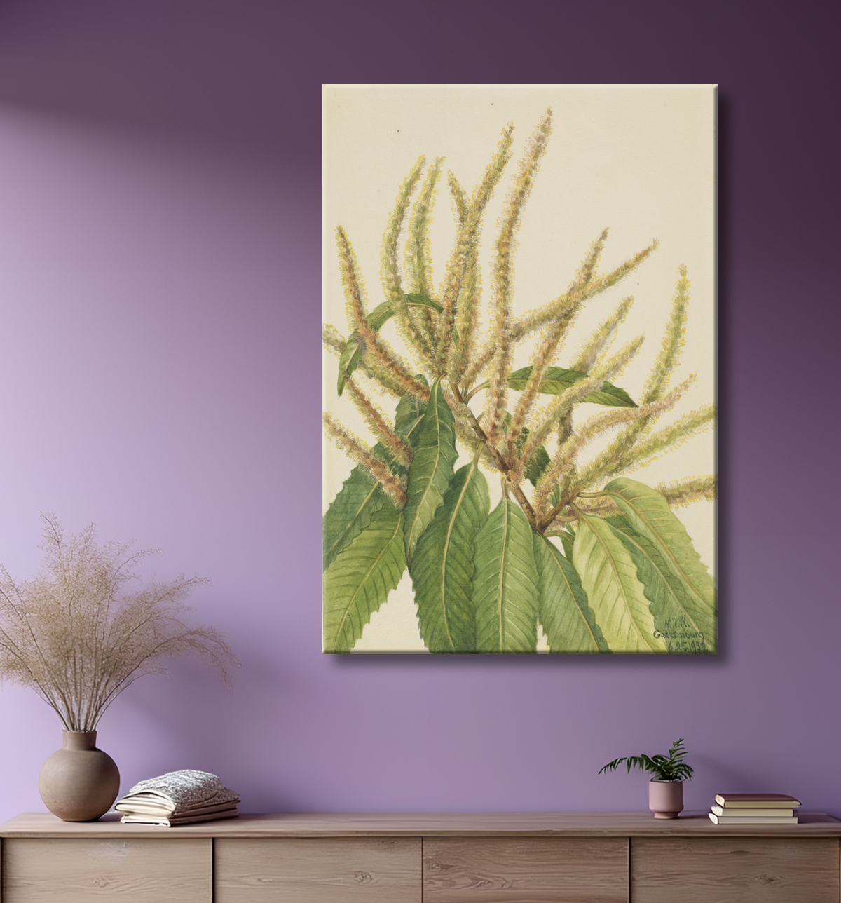 Reproduction Châtaignier d'Amérique (Castanea dentata) de Mary Vaux Walcott, born Philadelphia, PA 1860-died St. Andrews, New Brunswick, Canada 1940 avec decor