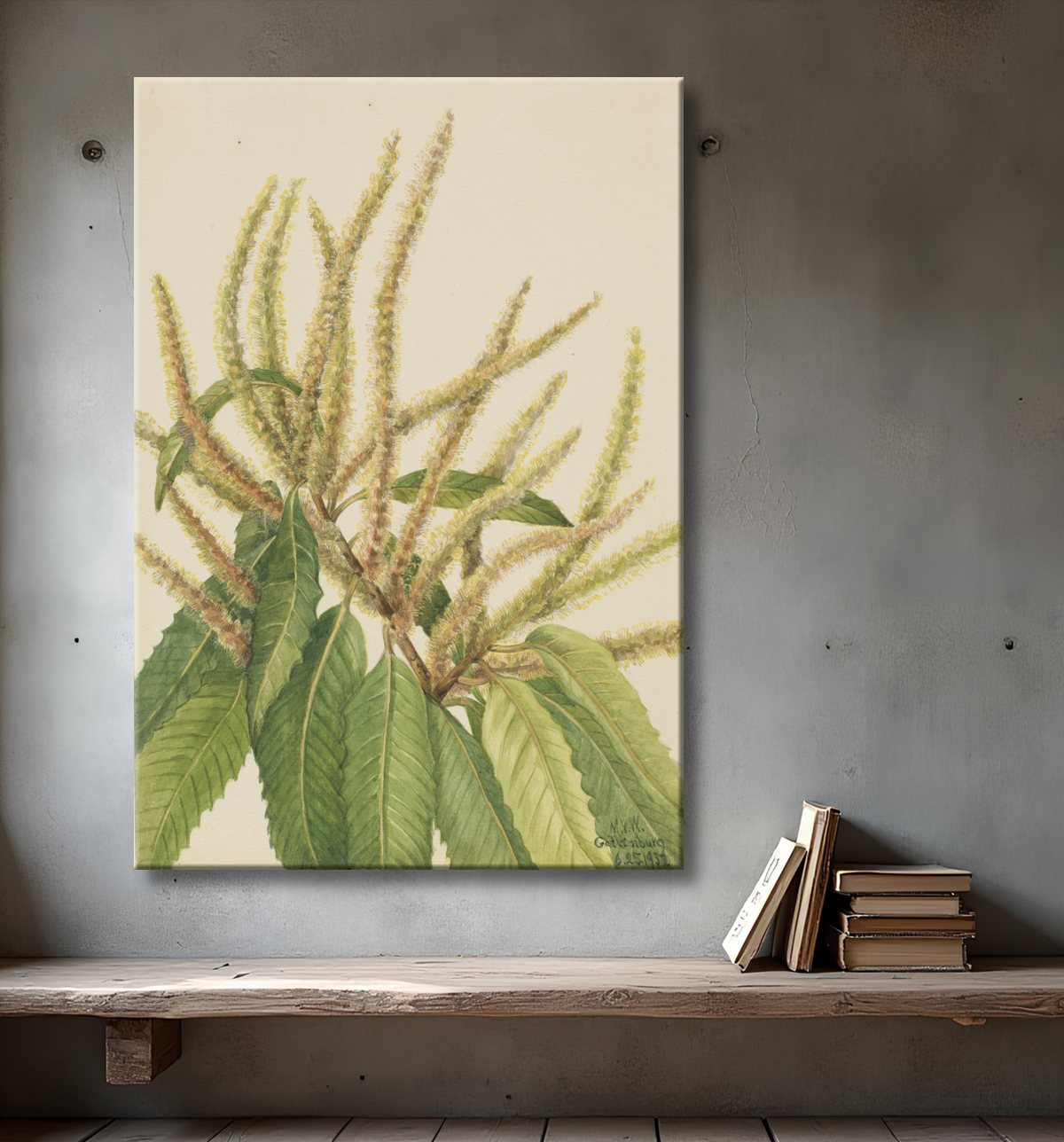 Reproduction Châtaignier d'Amérique (Castanea dentata) de Mary Vaux Walcott, born Philadelphia, PA 1860-died St. Andrews, New Brunswick, Canada 1940 avec decor