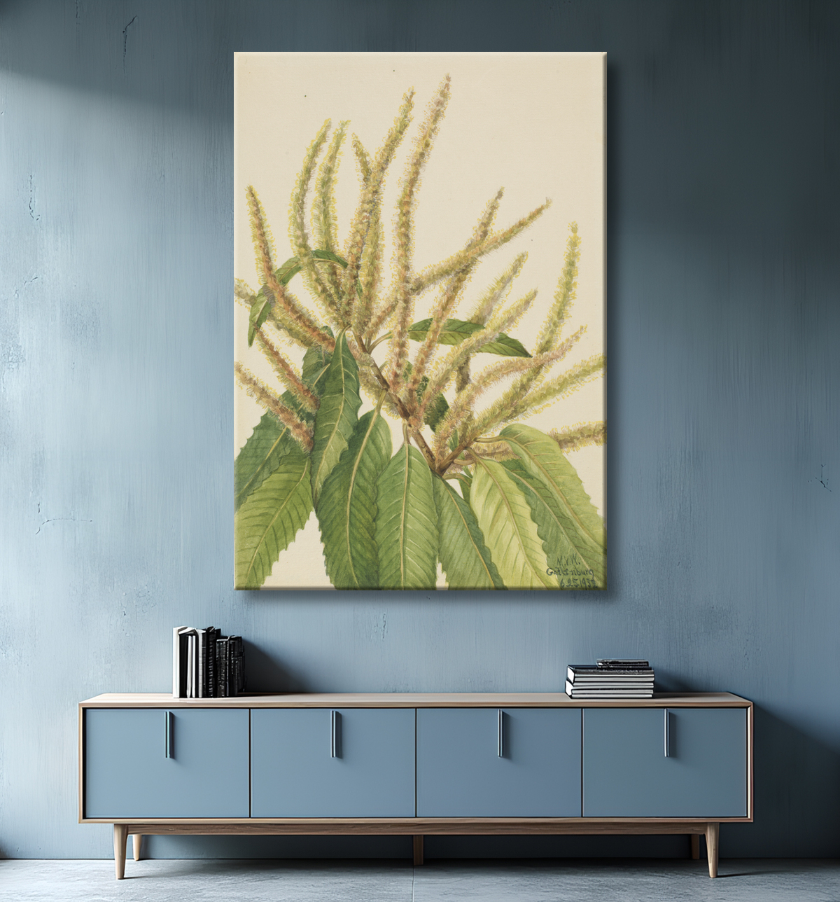 Reproduction Châtaignier d'Amérique (Castanea dentata) de Mary Vaux Walcott, born Philadelphia, PA 1860-died St. Andrews, New Brunswick, Canada 1940 avec decor