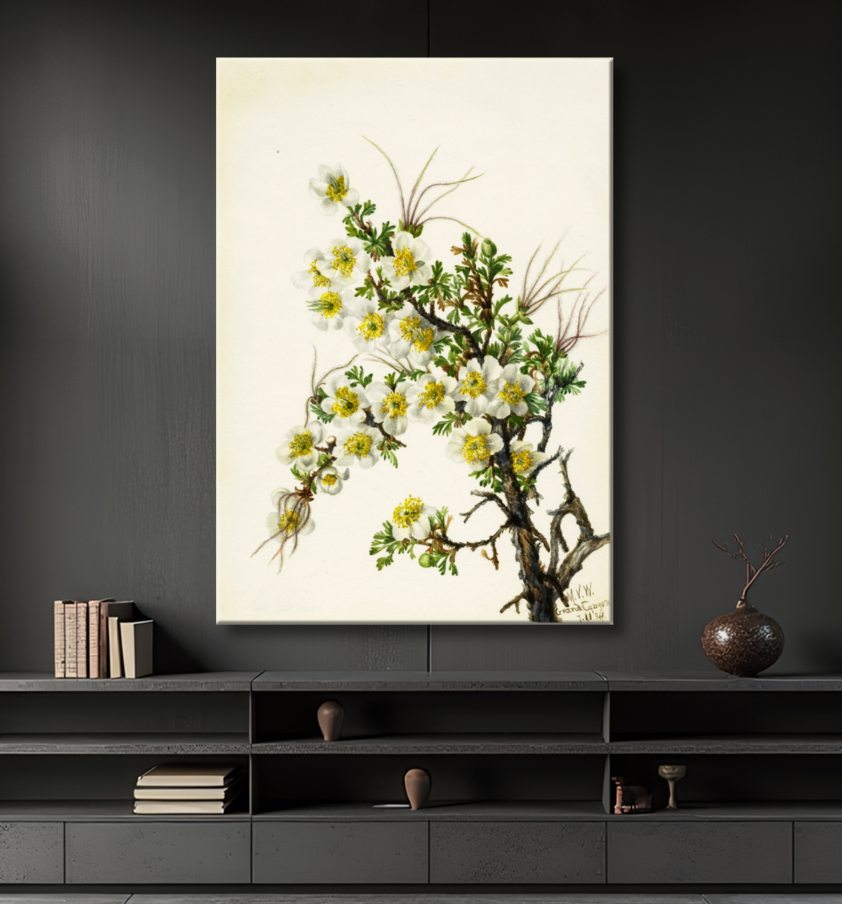 Reproduction Cliffrose (Cowania stanshuriana) de Mary Vaux Walcott, born Philadelphia, PA 1860-died St. Andrews, New Brunswick, Canada 1940 avec decor