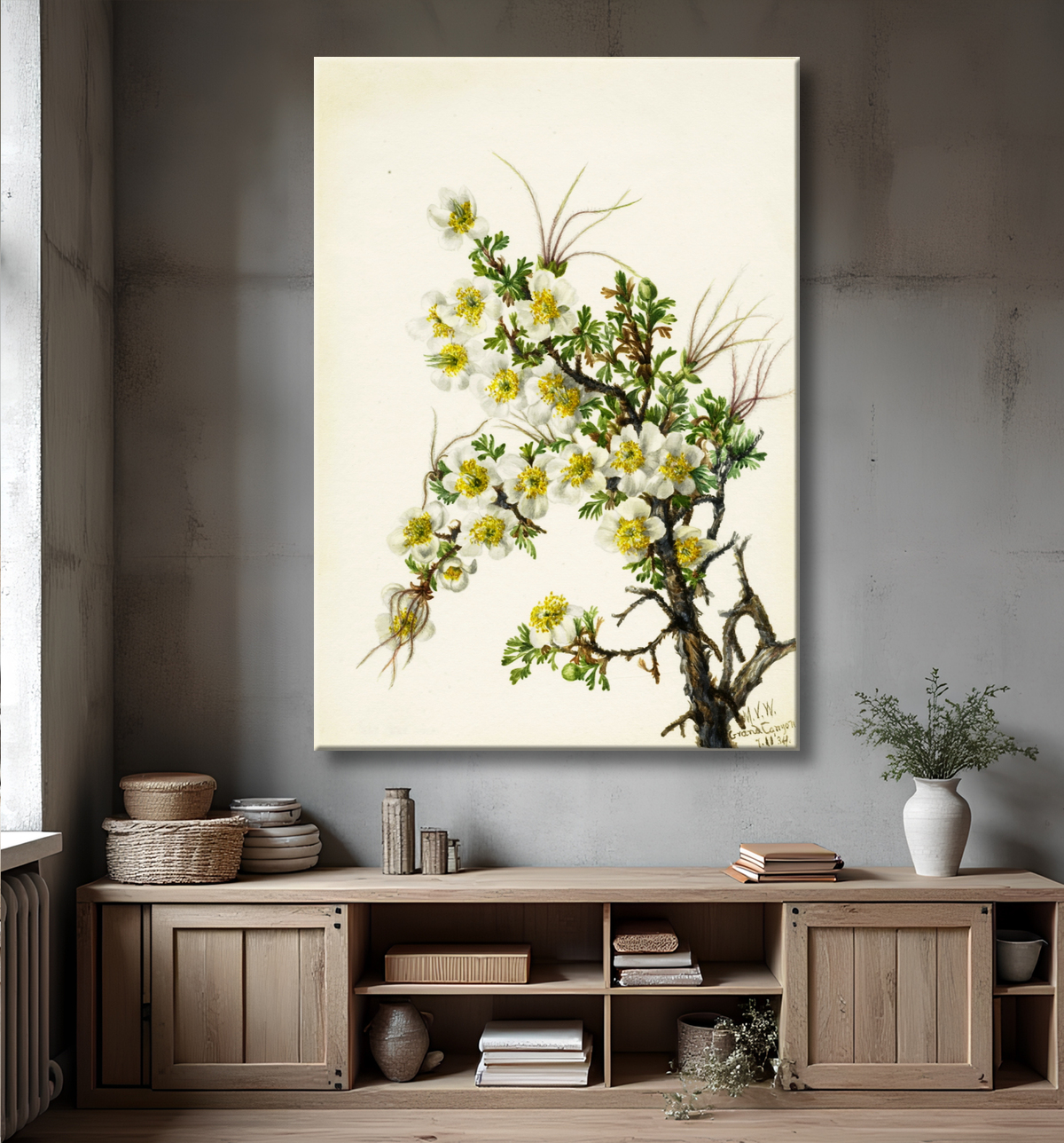 Reproduction Cliffrose (Cowania stanshuriana) de Mary Vaux Walcott, born Philadelphia, PA 1860-died St. Andrews, New Brunswick, Canada 1940 avec decor