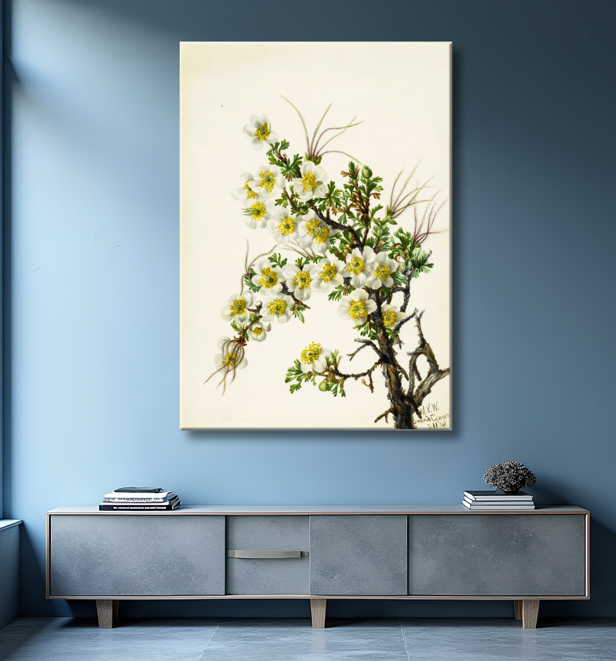 Reproduction Cliffrose (Cowania stanshuriana) de Mary Vaux Walcott, born Philadelphia, PA 1860-died St. Andrews, New Brunswick, Canada 1940 avec decor