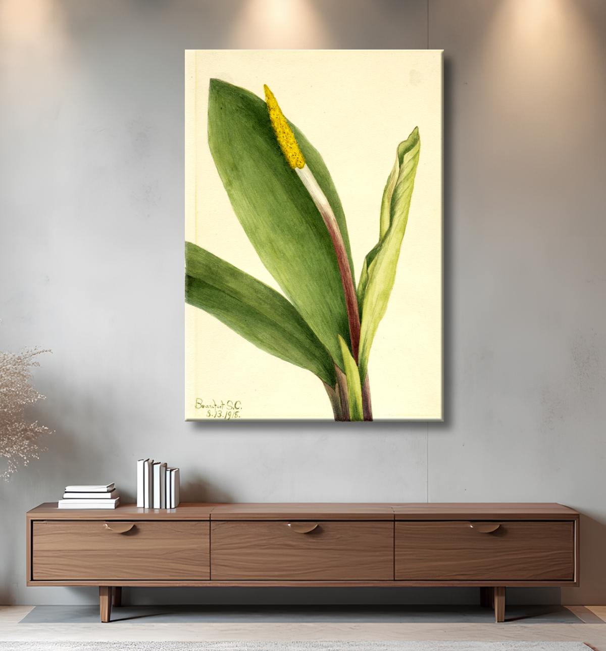Reproduction Club d'or (Orontium aquaticum) de Mary Vaux Walcott, born Philadelphia, PA 1860-died St. Andrews, New Brunswick, Canada 1940 avec decor