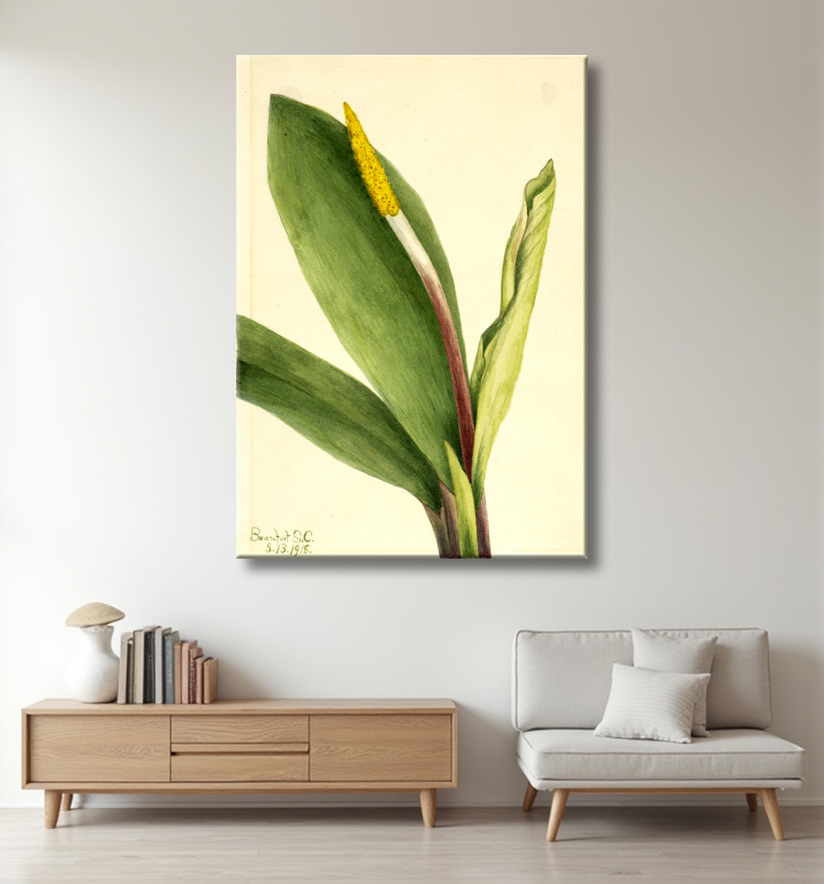 Reproduction Club d'or (Orontium aquaticum) de Mary Vaux Walcott, born Philadelphia, PA 1860-died St. Andrews, New Brunswick, Canada 1940 avec decor