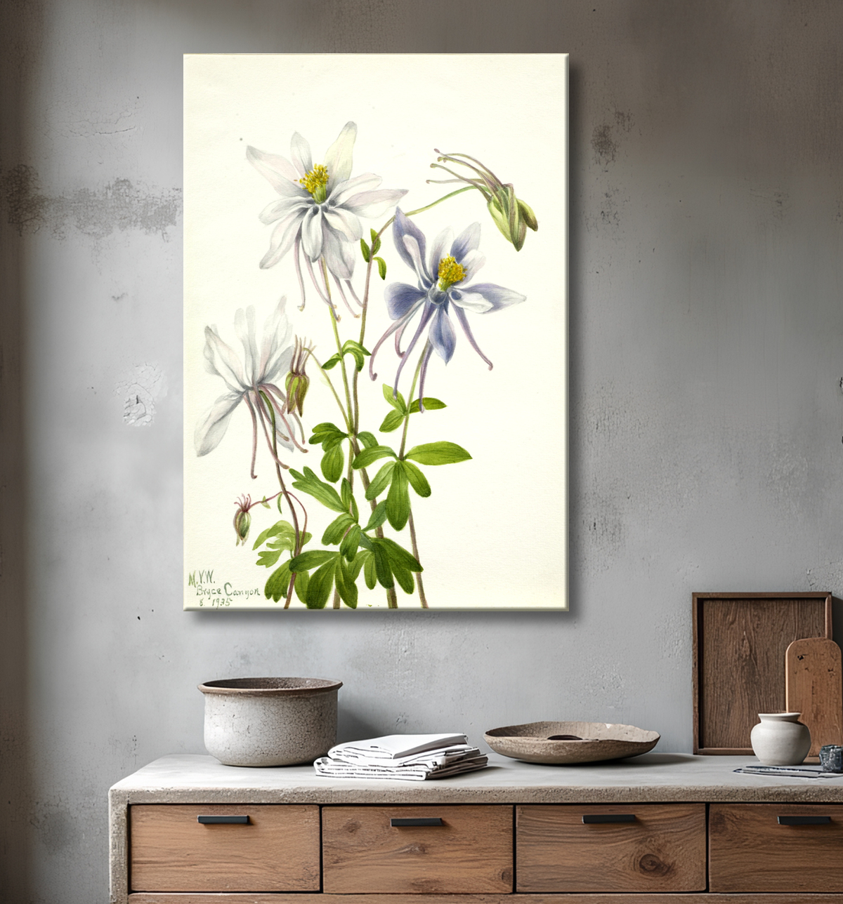 Reproduction Colombine (Aquilegia ecalcarata) de Mary Vaux Walcott, born Philadelphia, PA 1860-died St. Andrews, New Brunswick, Canada 1940 avec decor