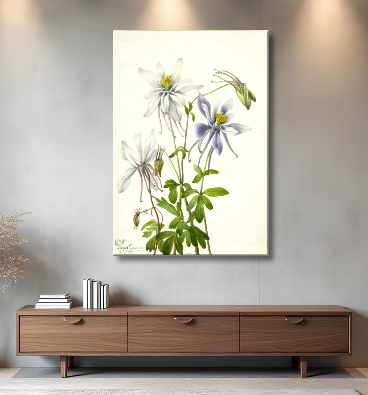 Reproduction Colombine (Aquilegia ecalcarata) de Mary Vaux Walcott, born Philadelphia, PA 1860-died St. Andrews, New Brunswick, Canada 1940 avec decor