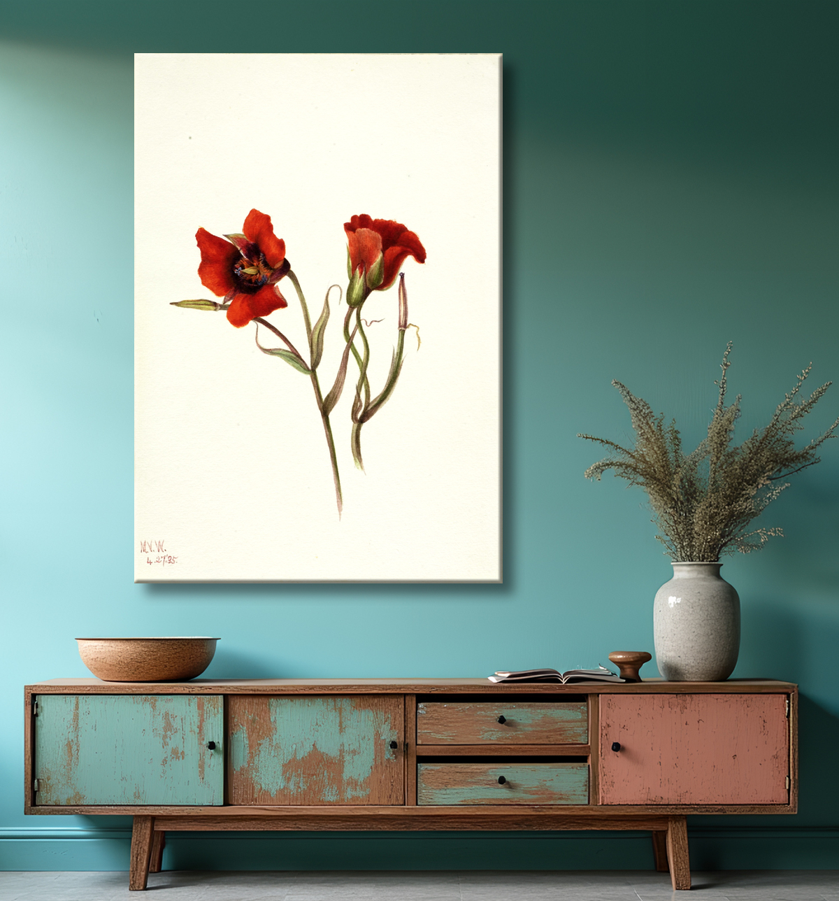 Reproduction Désert Mariposa (Calochortus kennedyi) de Mary Vaux Walcott, born Philadelphia, PA 1860-died St. Andrews, New Brunswick, Canada 1940 avec decor