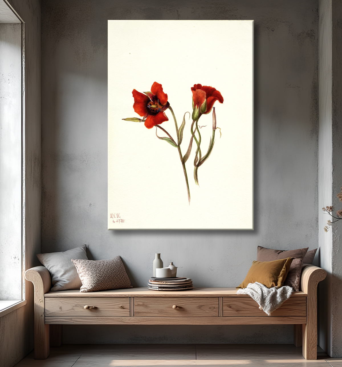 Reproduction Désert Mariposa (Calochortus kennedyi) de Mary Vaux Walcott, born Philadelphia, PA 1860-died St. Andrews, New Brunswick, Canada 1940 avec decor