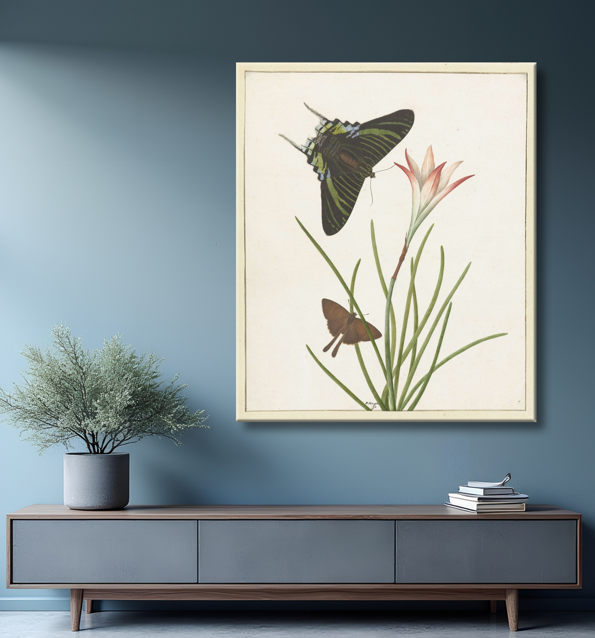 Reproduction Deux papillons à un lis de Paulus Knogh avec decor
