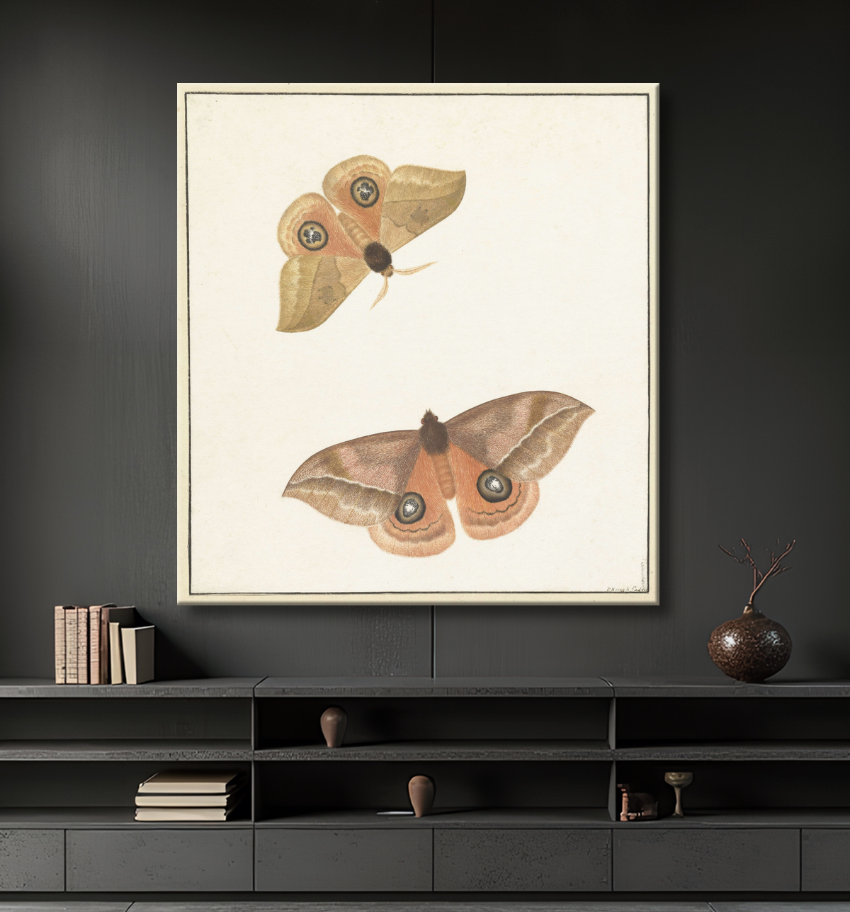 Reproduction deux papillons de Paulus Knogh avec decor
