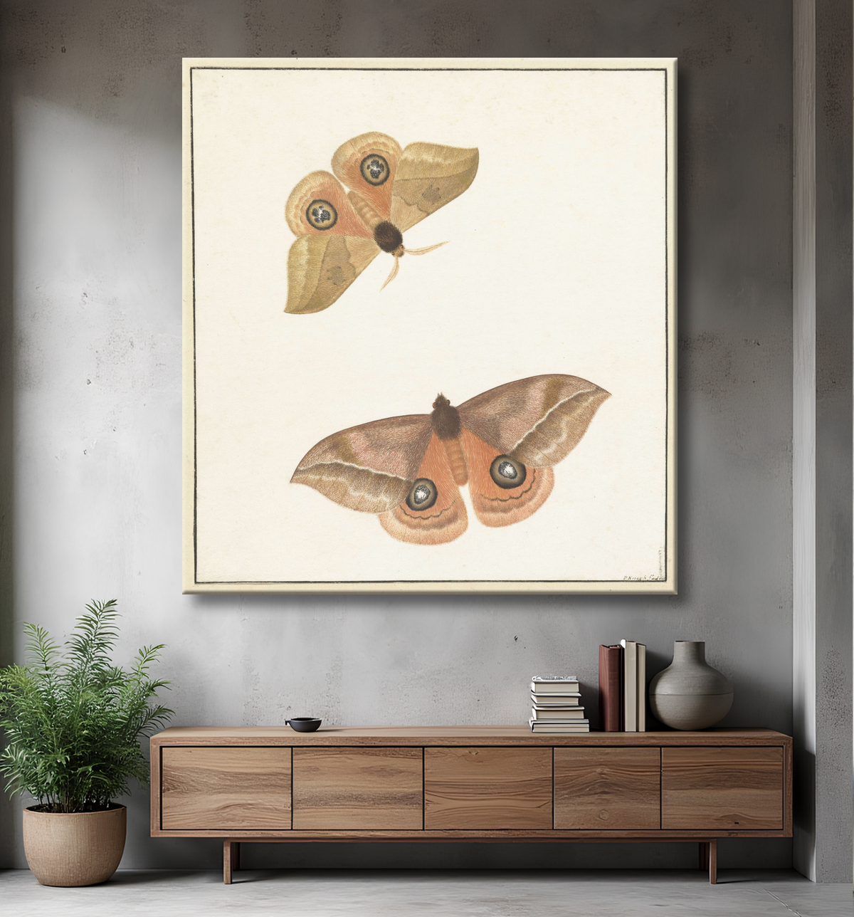 Reproduction deux papillons de Paulus Knogh avec decor