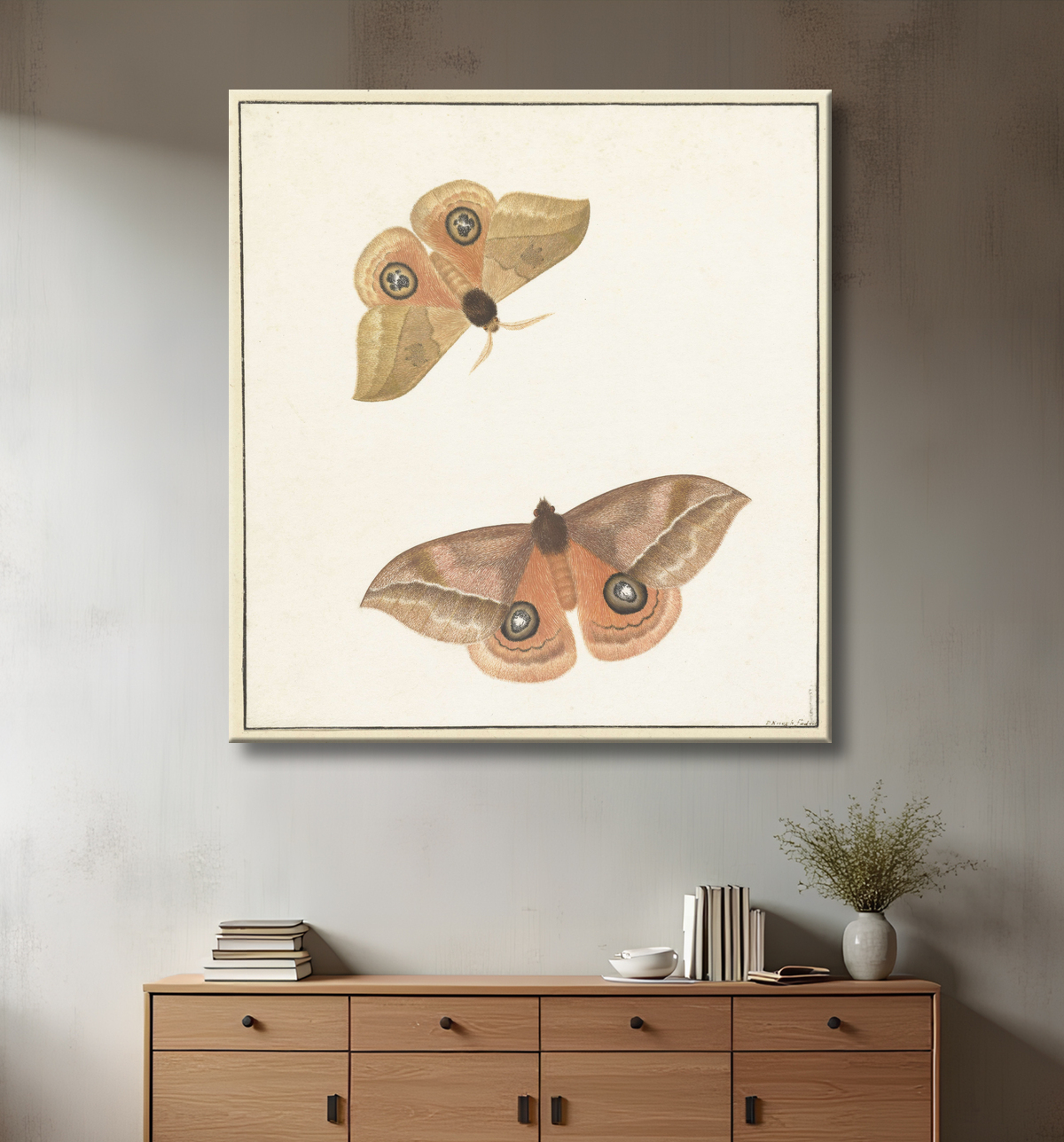 Reproduction deux papillons de Paulus Knogh avec decor