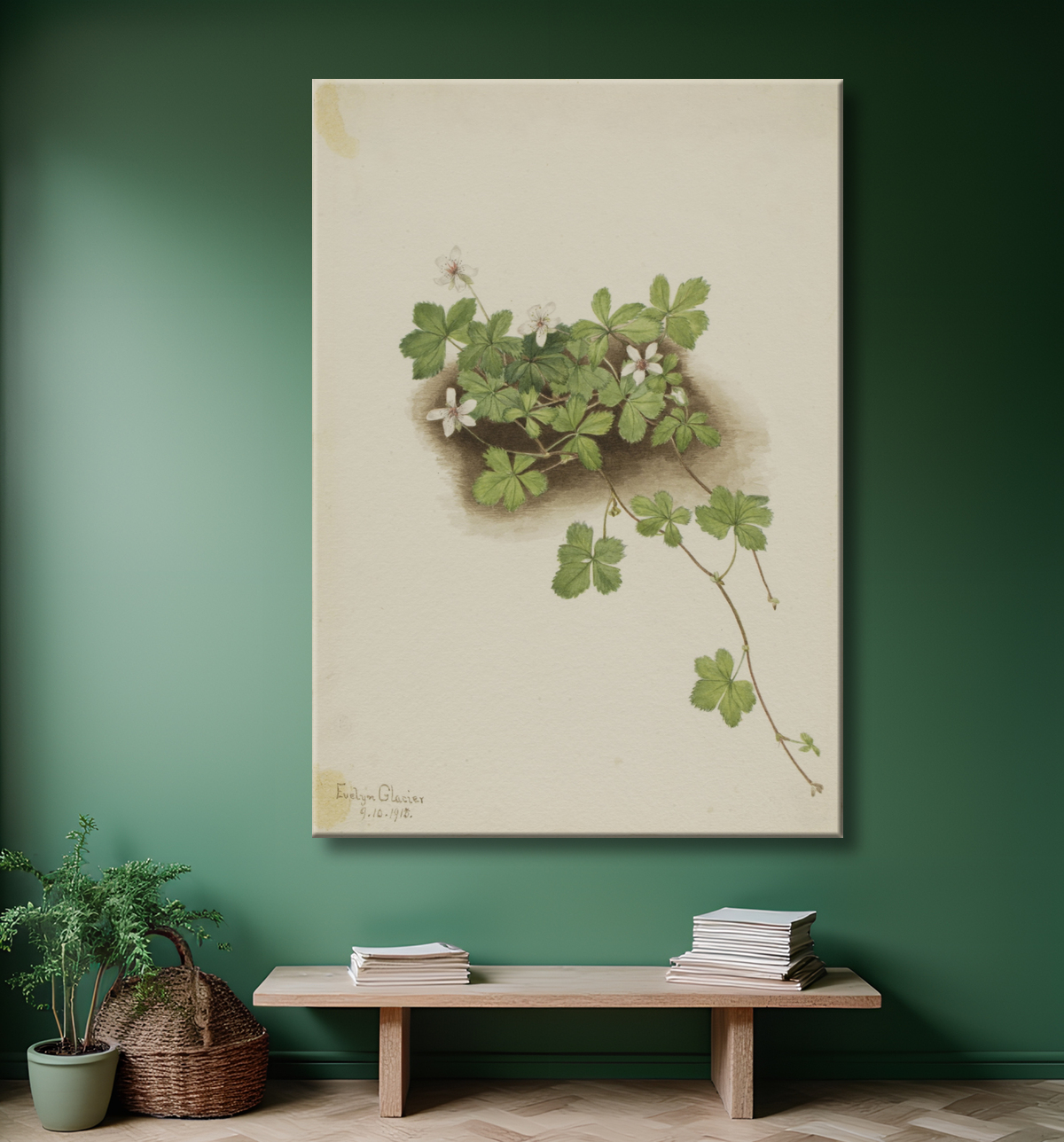 Reproduction Dewberry rouge (Rubus pedatus) de Mary Vaux Walcott, born Philadelphia, PA 1860-died St. Andrews, New Brunswick, Canada 1940 avec decor