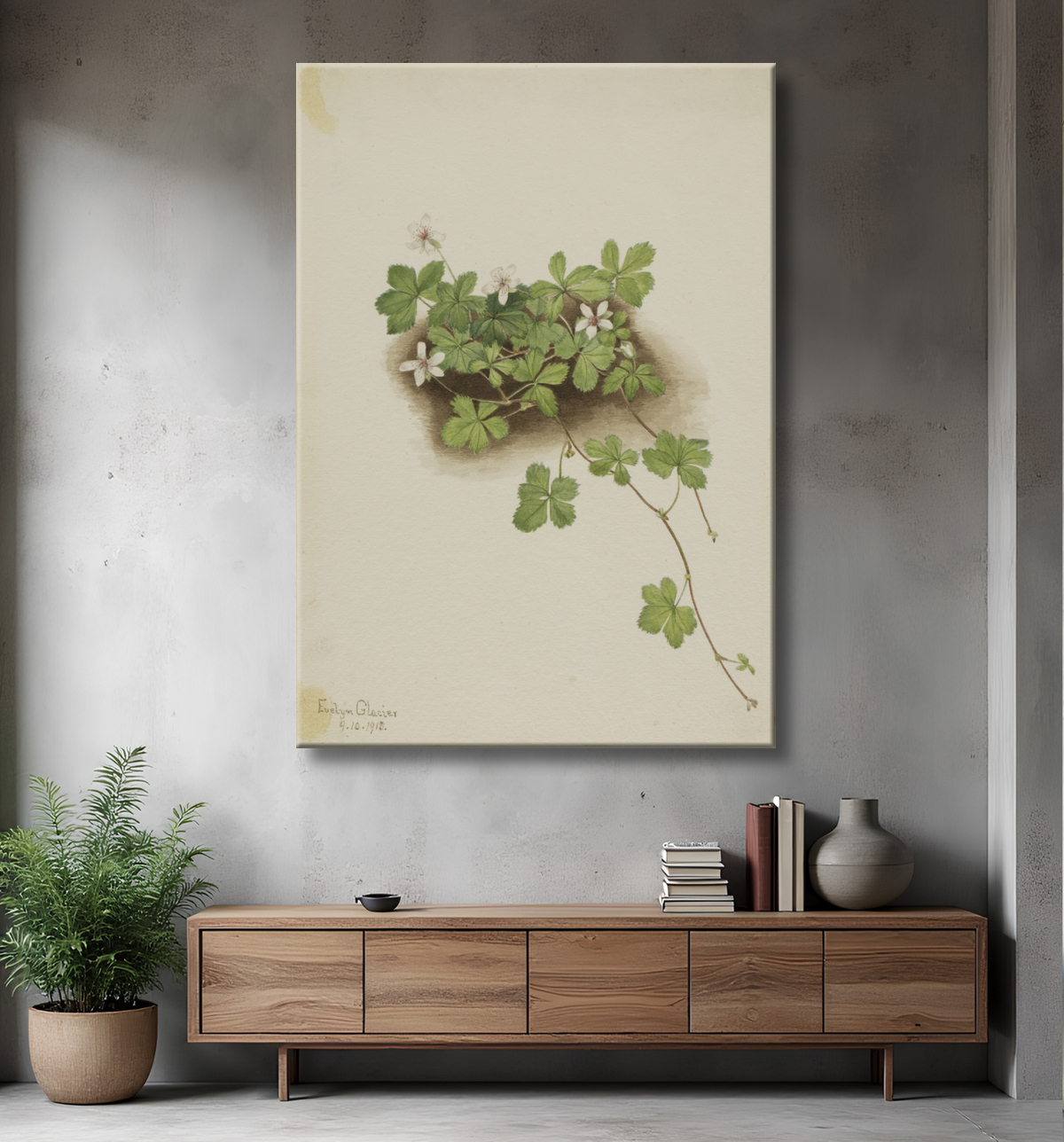 Reproduction Dewberry rouge (Rubus pedatus) de Mary Vaux Walcott, born Philadelphia, PA 1860-died St. Andrews, New Brunswick, Canada 1940 avec decor