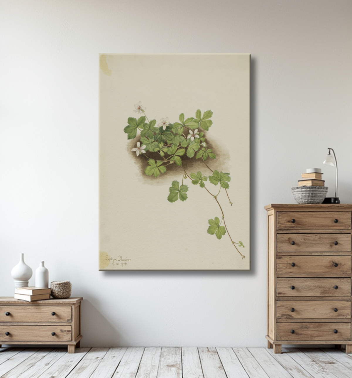Reproduction Dewberry rouge (Rubus pedatus) de Mary Vaux Walcott, born Philadelphia, PA 1860-died St. Andrews, New Brunswick, Canada 1940 avec decor