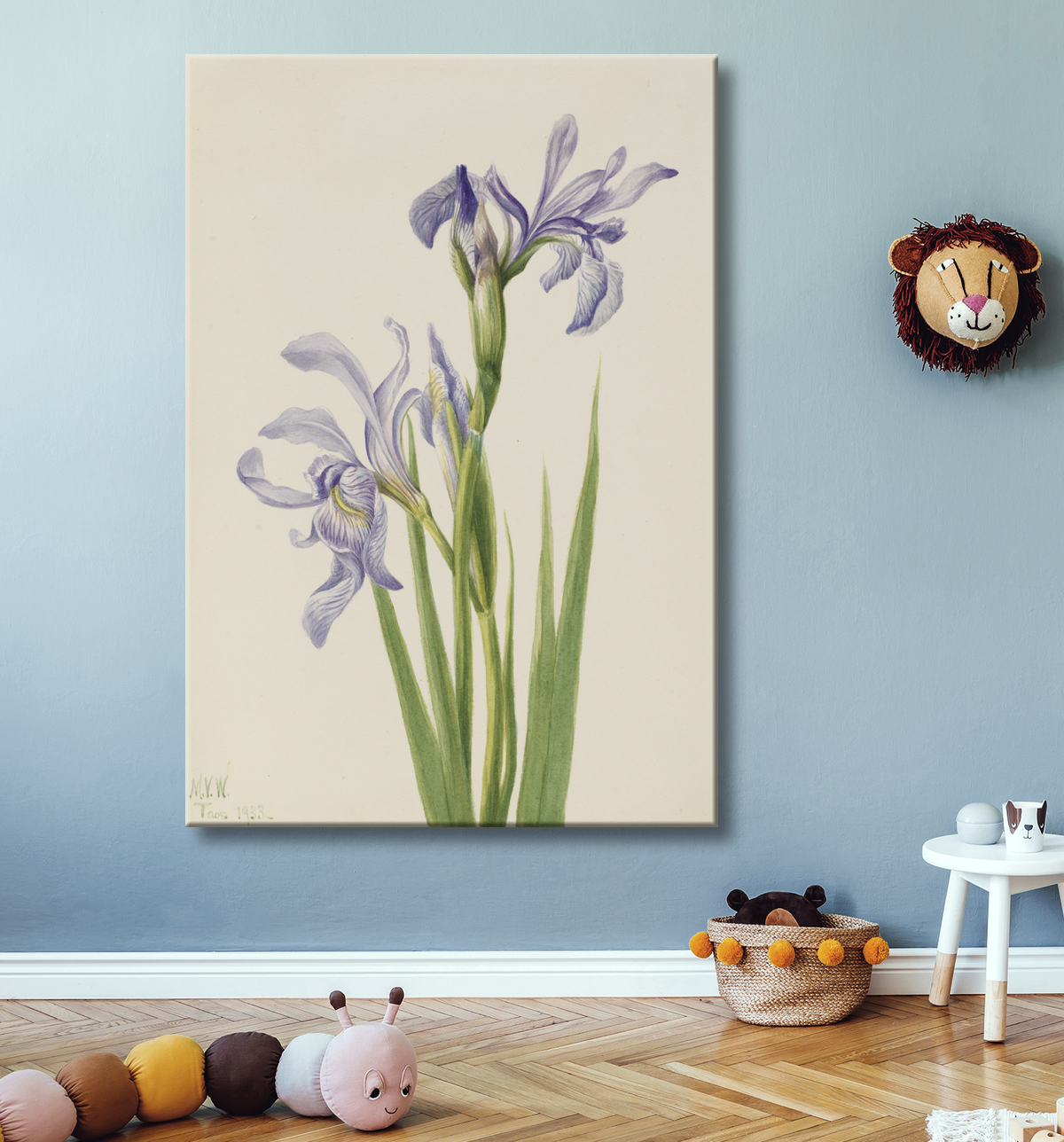 Reproduction Drapeau bleu de l'Ouest (Iris missouriensis) de Mary Vaux Walcott, born Philadelphia, PA 1860-died St. Andrews, New Brunswick, Canada 1940 avec decor