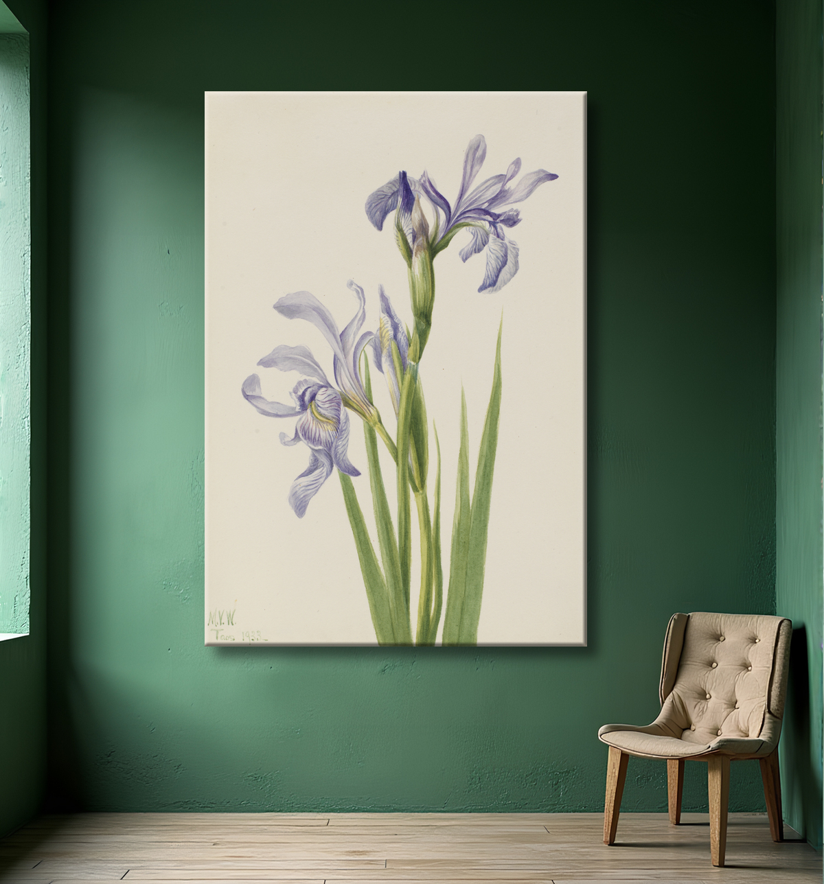 Reproduction Drapeau bleu de l'Ouest (Iris missouriensis) de Mary Vaux Walcott, born Philadelphia, PA 1860-died St. Andrews, New Brunswick, Canada 1940 avec decor