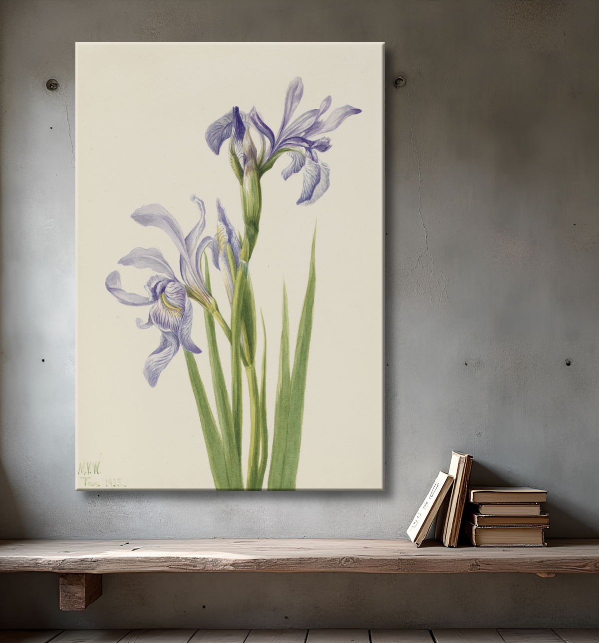Reproduction Drapeau bleu de l'Ouest (Iris missouriensis) de Mary Vaux Walcott, born Philadelphia, PA 1860-died St. Andrews, New Brunswick, Canada 1940 avec decor